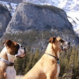 Entry image for Gryphon & Chloe
