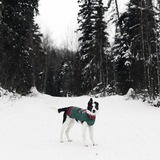 Entry image for Jay