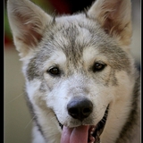 Entry image for Mallie