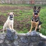 Entry image for Hank and Disa