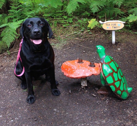 Entry image for Kassy. Clicking this image will show a larger photo