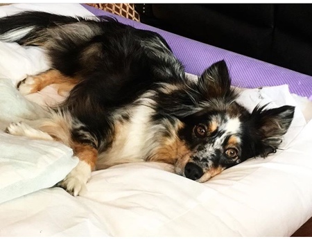 Entry image for Mia . Clicking this image will show a larger photo