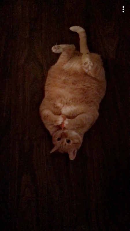 Entry image for Mr. Peach . Clicking this image will show a larger photo