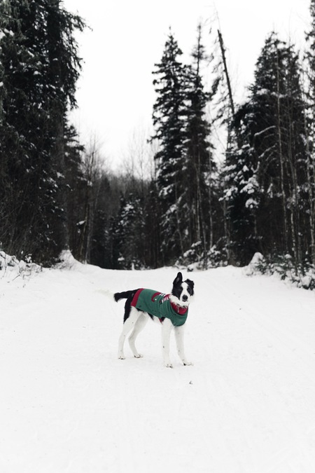 Entry image for Jay. Clicking this image will show a larger photo