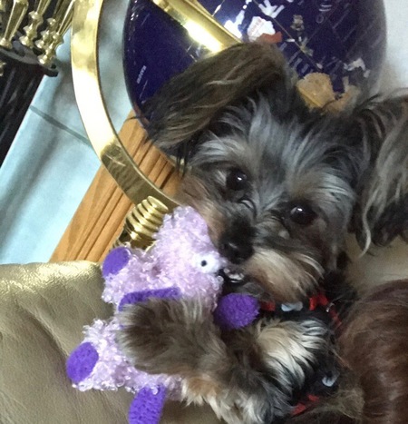 Entry image for Bella . Clicking this image will show a larger photo