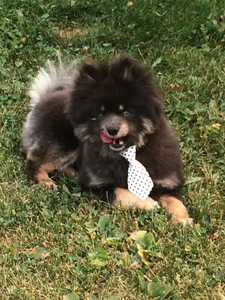 Entry image for Colby. Clicking this image will show a larger photo