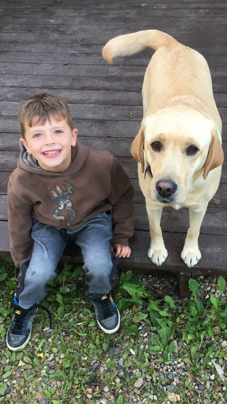 Entry image for Pipper. Clicking this image will show a larger photo