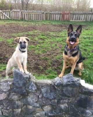 Entry image for Hank and Disa. Clicking this image will show a larger photo