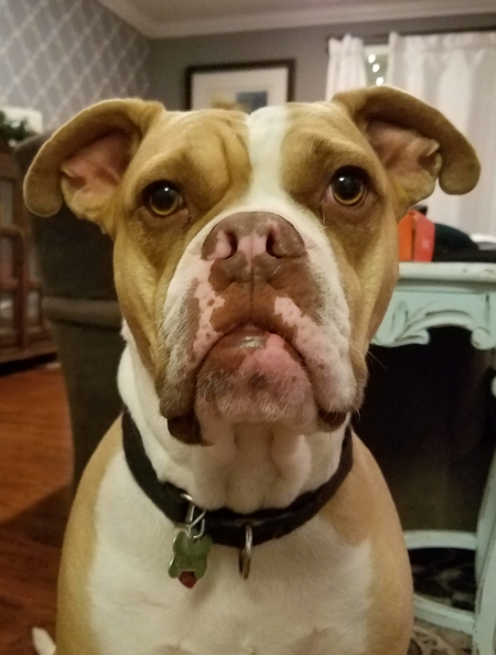 Charlie
