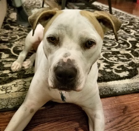 Marley