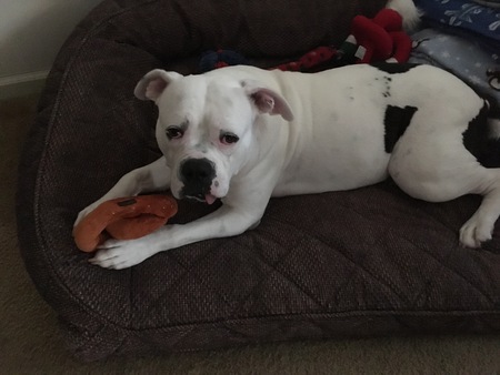 Fiona