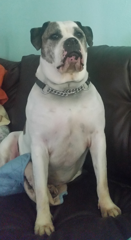 Leo