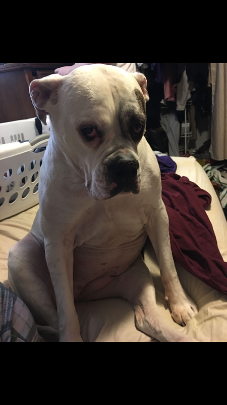 Daisy