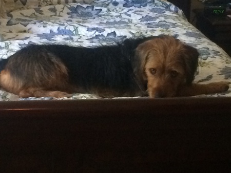 Stanley