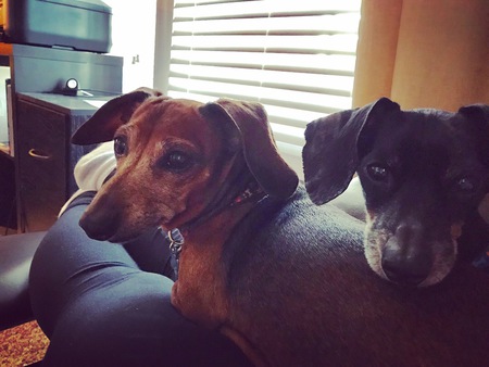 Zoey and Sheldon
