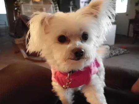 Abby