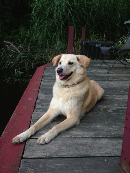 Bella 