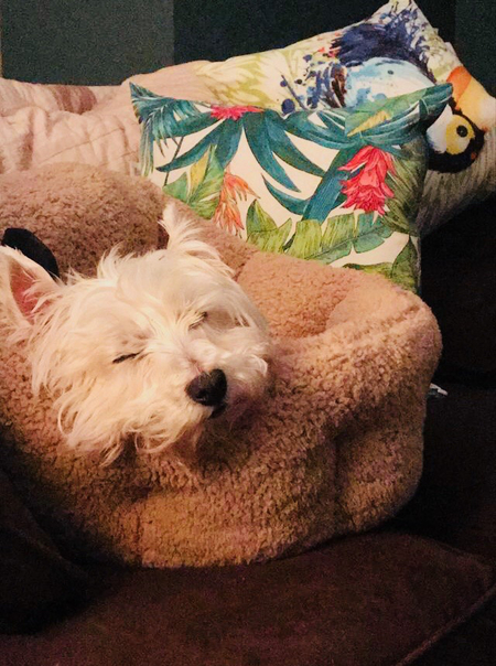 Winston