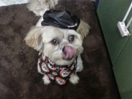 Bandit