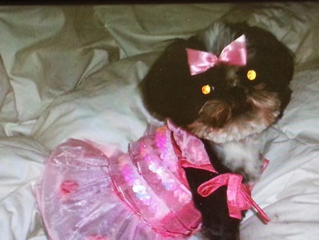 Bootsie