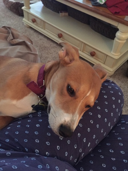 Ellie