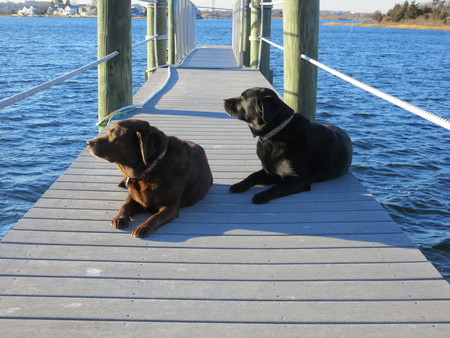Maggie & Ozzie