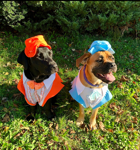 Percy and Charlie