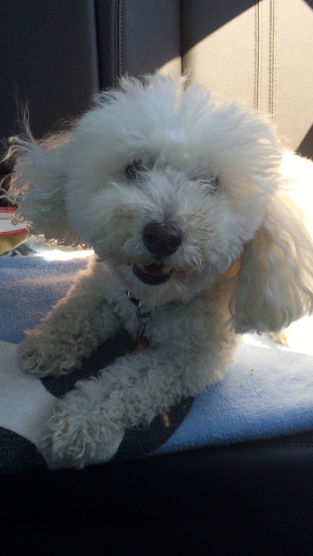 Darby