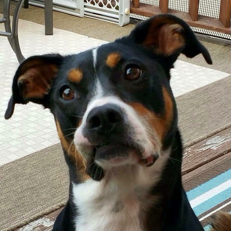 Jack