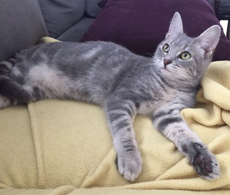 Fiona