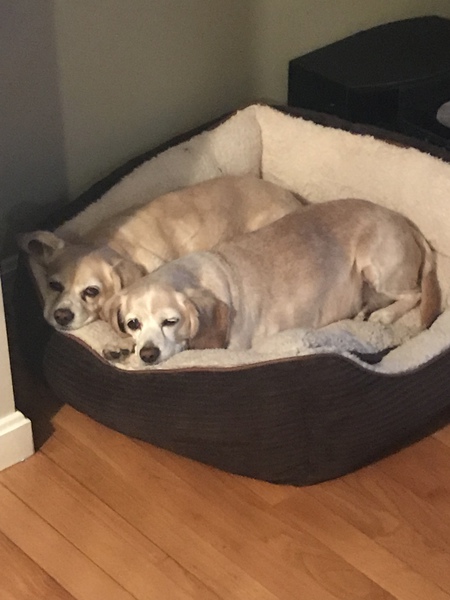 Pat & Bella