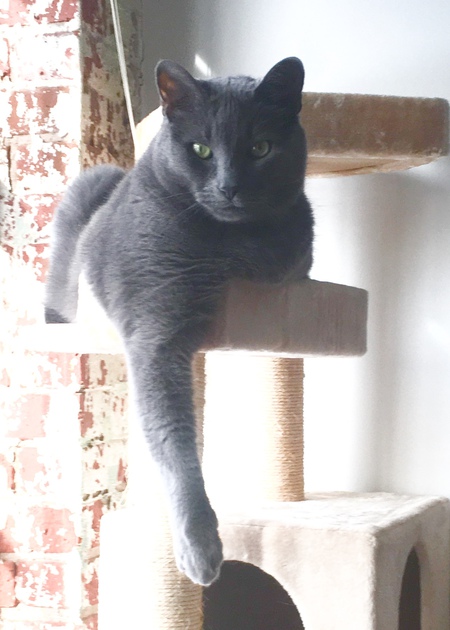 Ivan