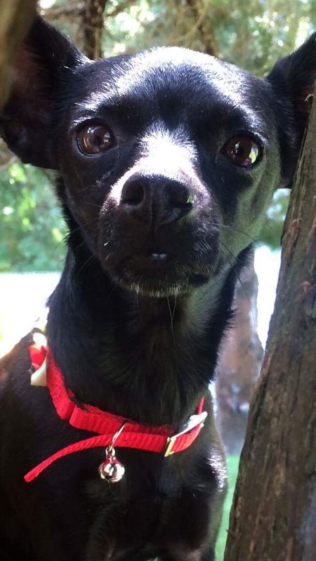 Chloe