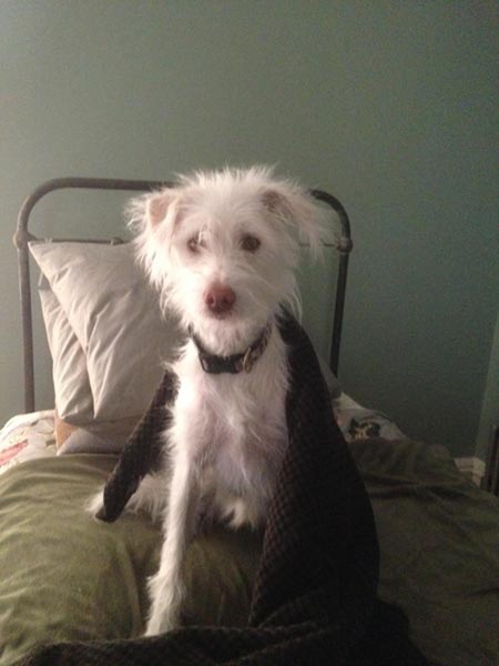Stella waking up