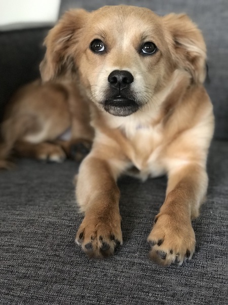 Benny