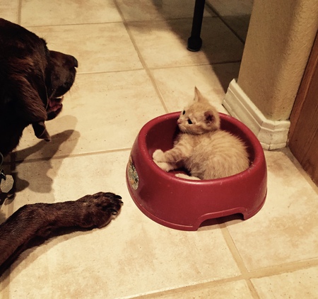 Mocha & April