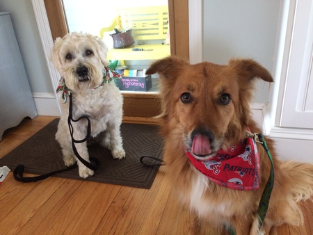 Moxie and Wixie