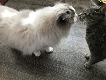 Jax and Cloe
