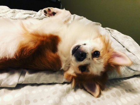 Reggie