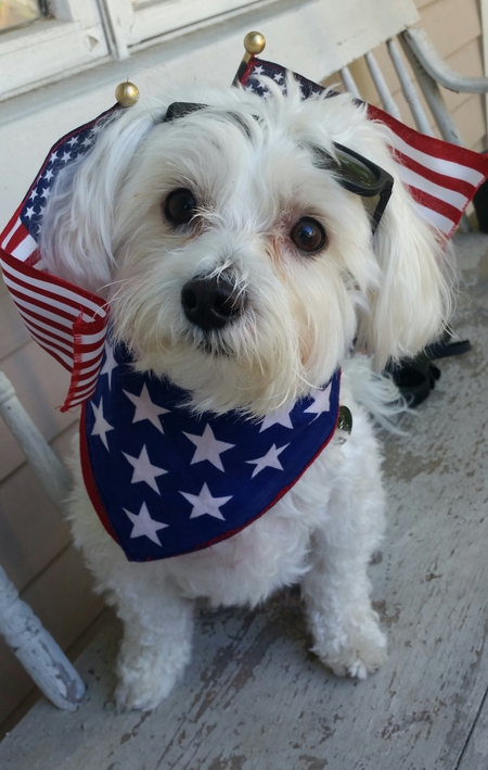 Cooper