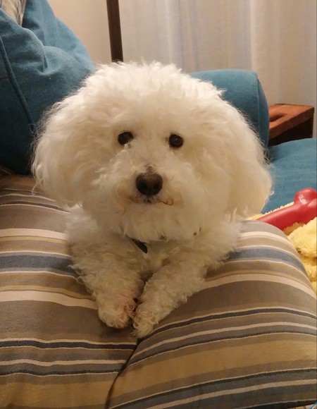 Sir Winston