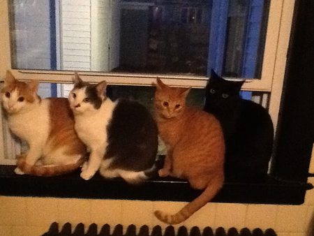 Vali, Sigyn, Hela, Nubi