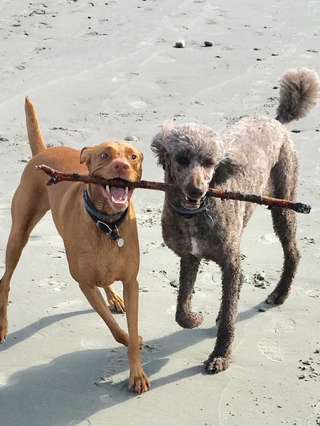 Maya and Coco