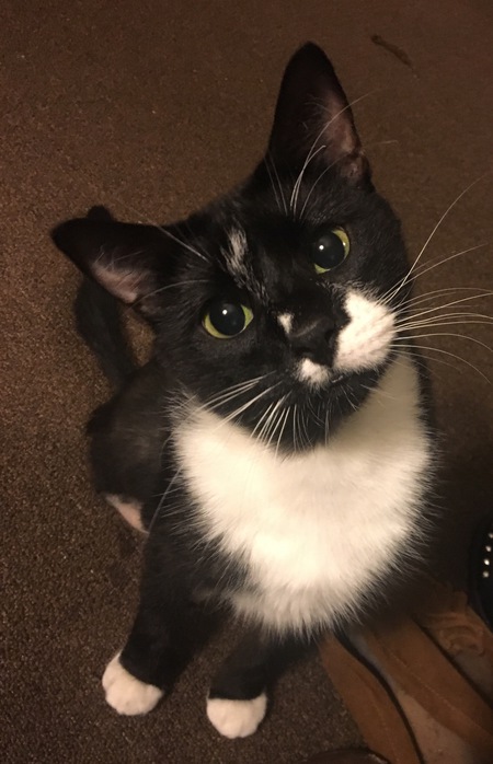 Jax