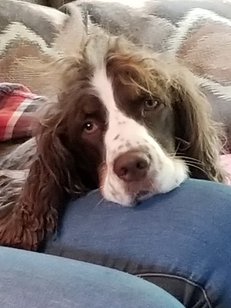 Ruby 