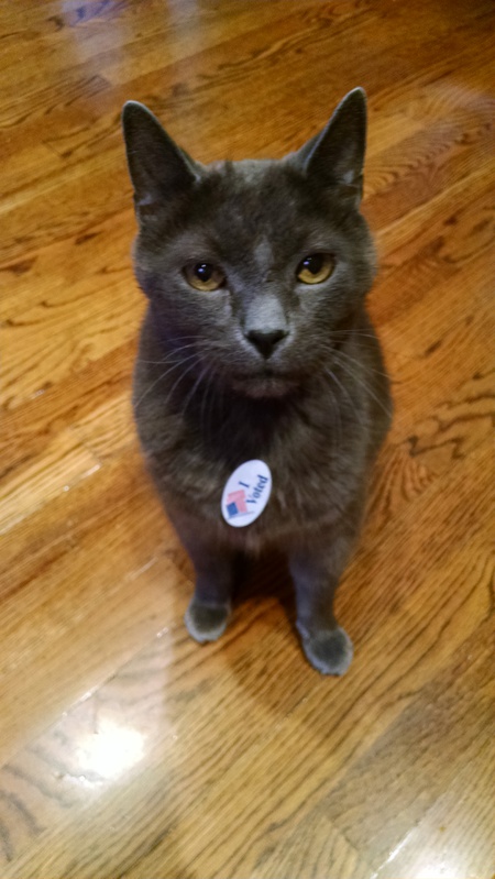 Mr. Boris