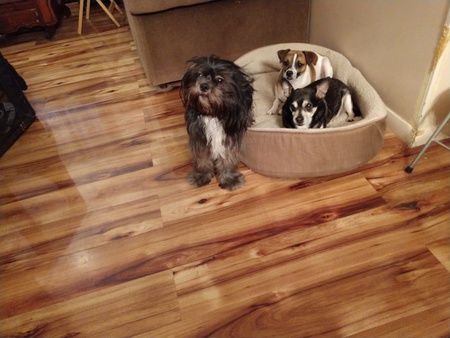 Licorice, spanky,. Dakota