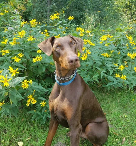Charlie