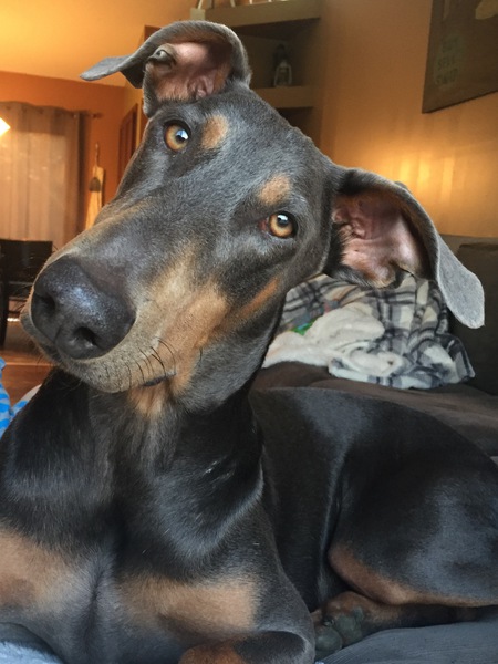 Pablo