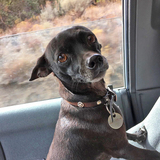 Entry image for Houston